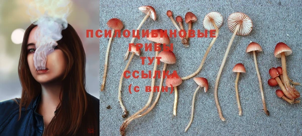 Альфа ПВП Бородино