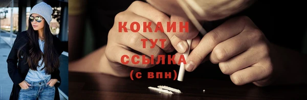Альфа ПВП Бородино